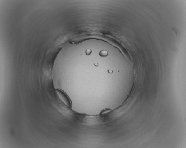 X0000113180240200909181900