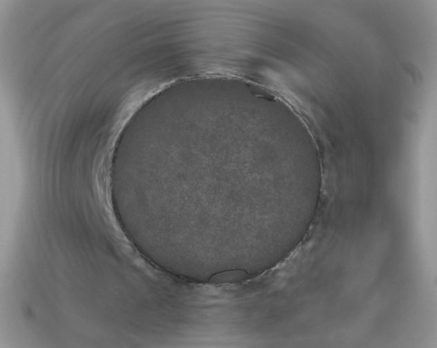 X0000113180241200909181859