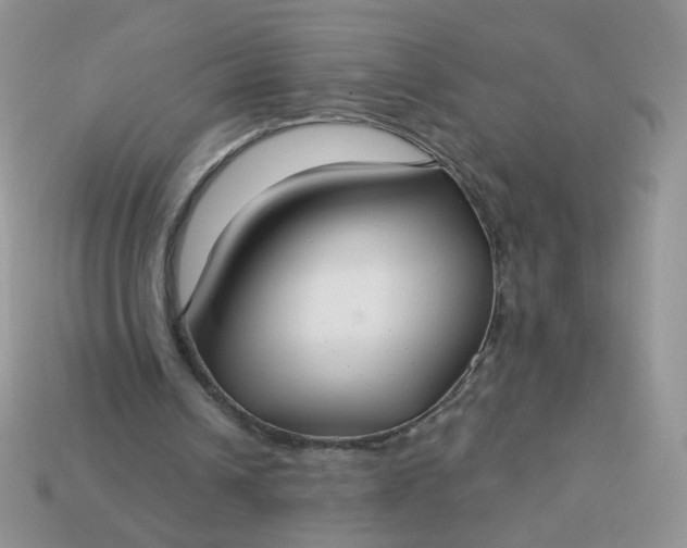 X0000113180242200909181859