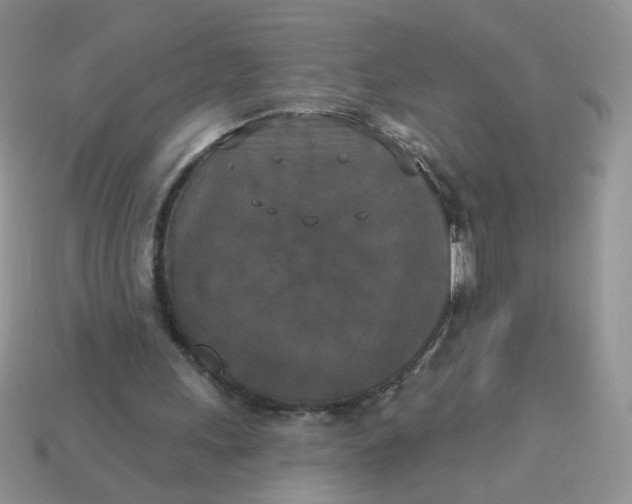 X0000113180243200909181859