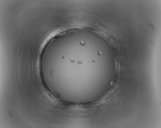 X0000113180244200909181859