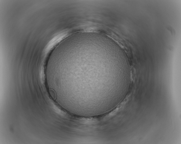 X0000113180245200909181859