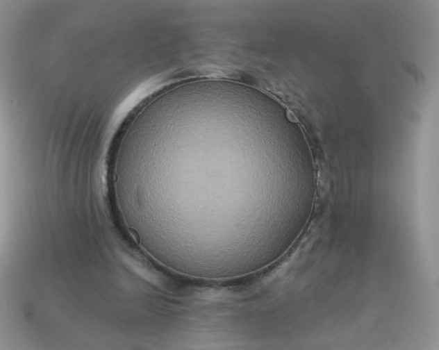 X0000113180246200909181859