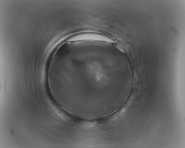 X0000113180247200909181859