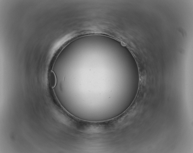 X0000113180248200909181859