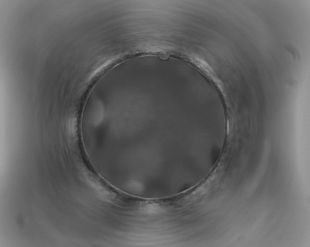 X0000113180249200909181859