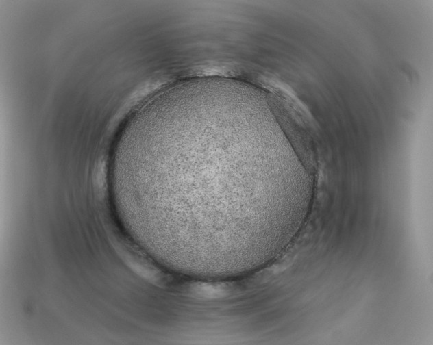 X0000113180250200909181859