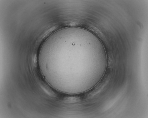 X0000113180251200909181859