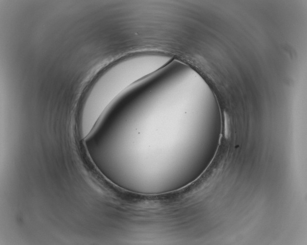 X0000113180252200909181859