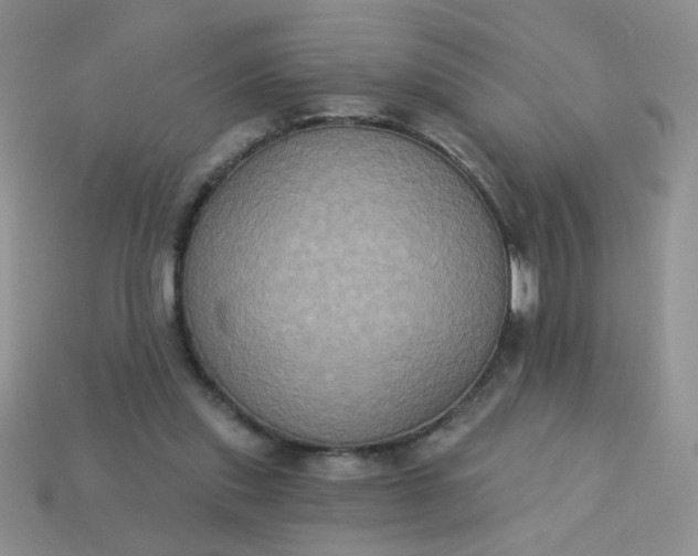 X0000113180253200909181859