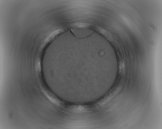 X0000113180254200909181859