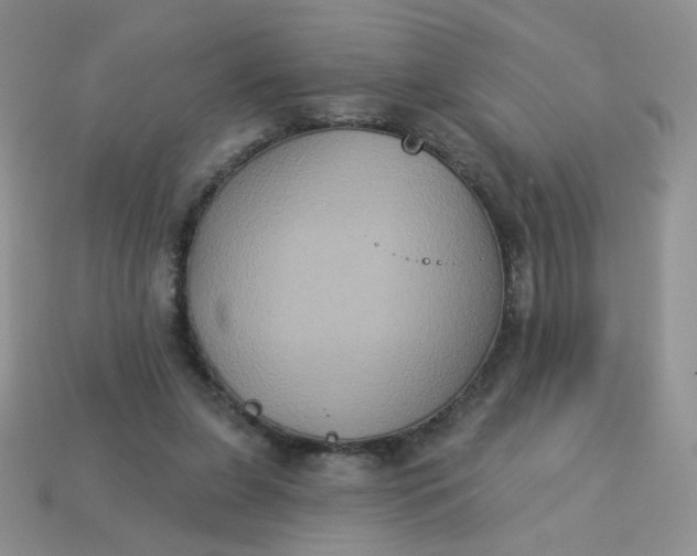 X0000113180255200909181859