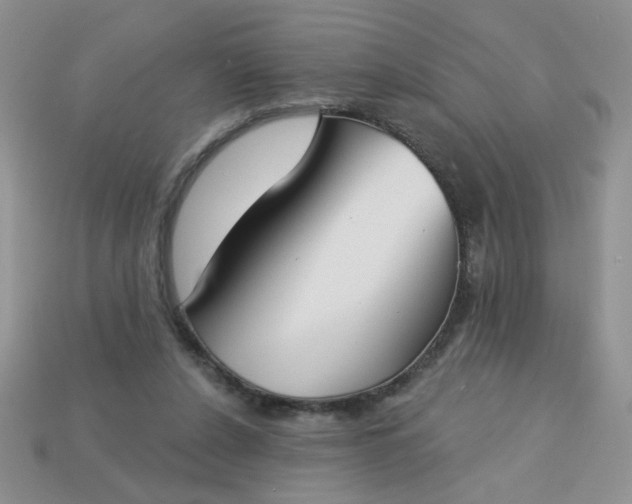 X0000113180256200909181900