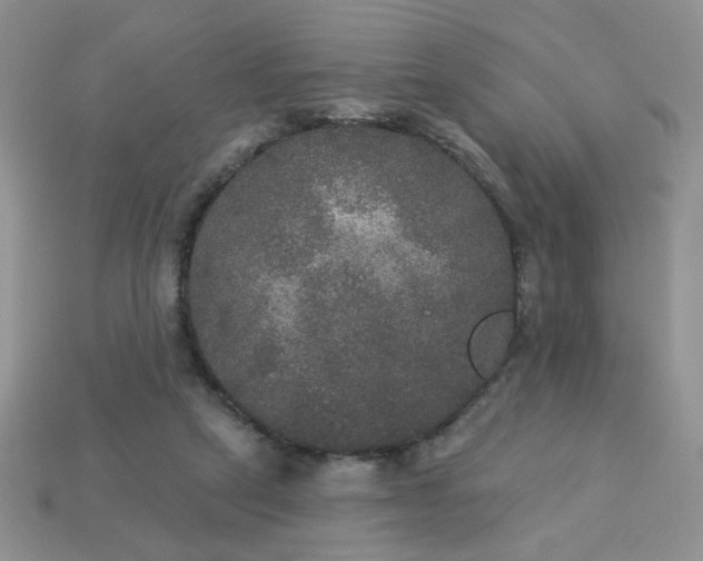 X0000113180257200909181900