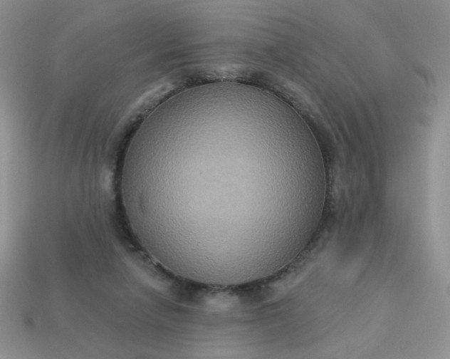 X0000113180258200909181900