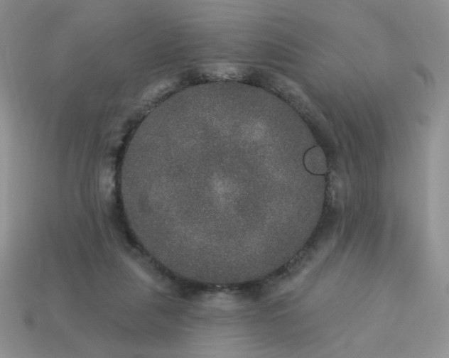 X0000113180259200909181900