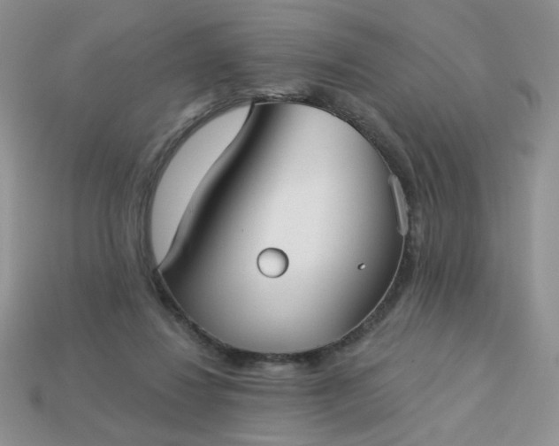 X0000113180260200909181900