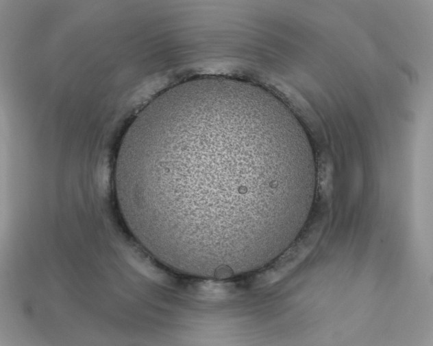 X0000113180261200909181900