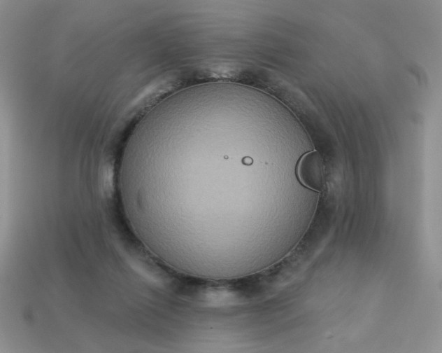 X0000113180262200909181900