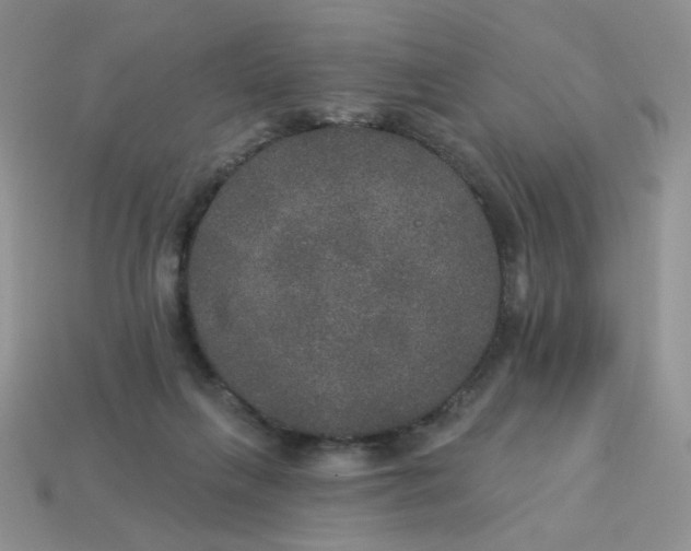 X0000113180263200909181900