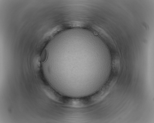 X0000113180264200909181900