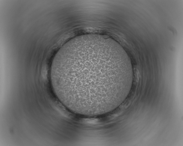 X0000113180266200909181900