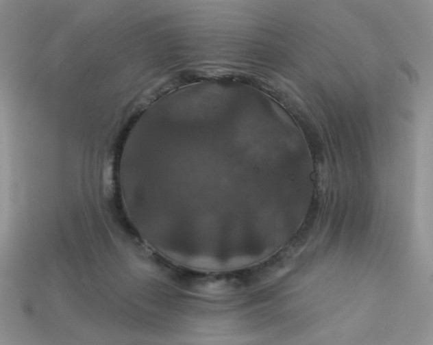 X0000113180267200909181900