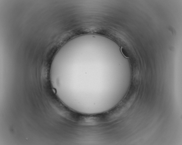 X0000113180268200909181900