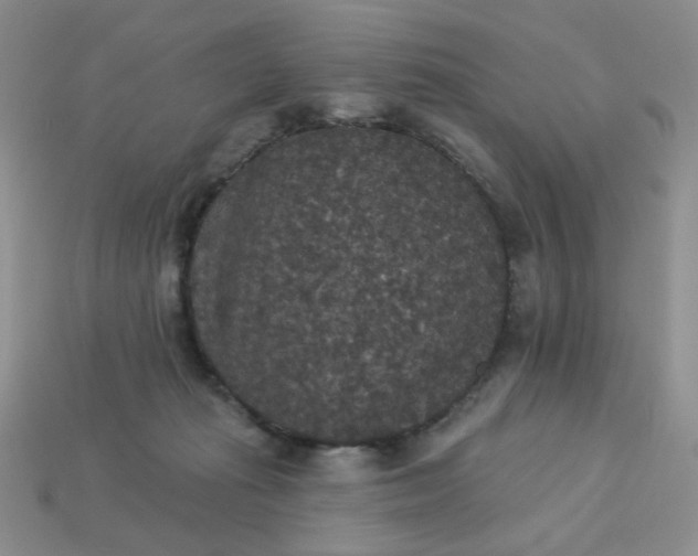 X0000113180269200909181900