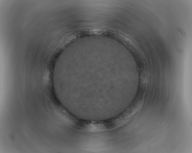 X0000113180270200909181900