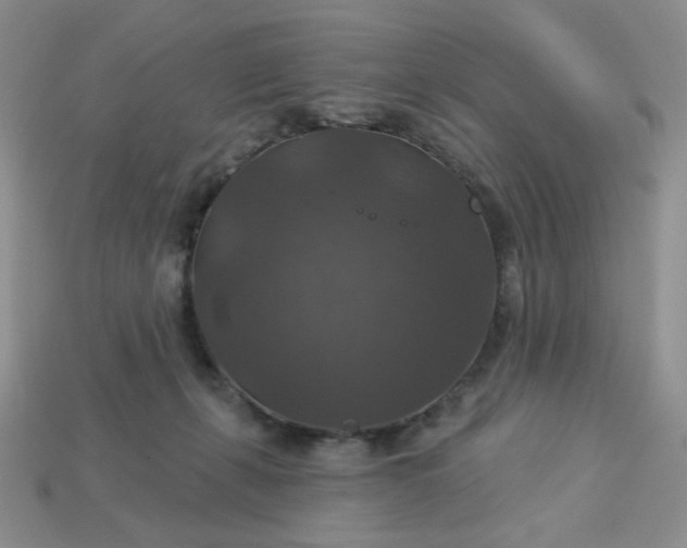 X0000113180271200909181900