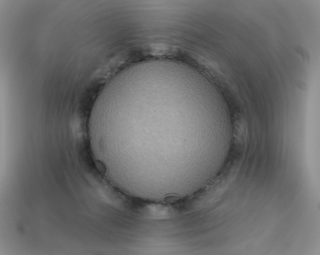 X0000113180272200909181900