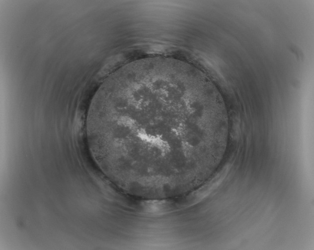 X0000113180273200909181900