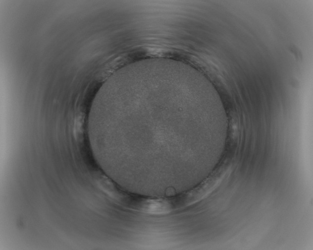 X0000113180275200909181900