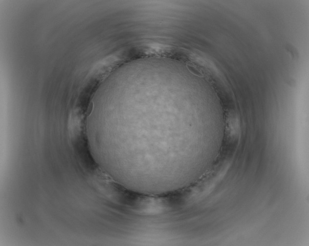 X0000113180276200909181900