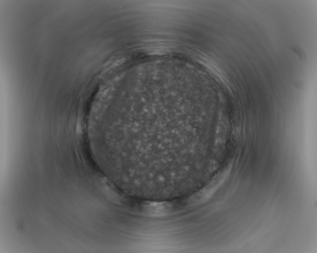 X0000113180277200909181900