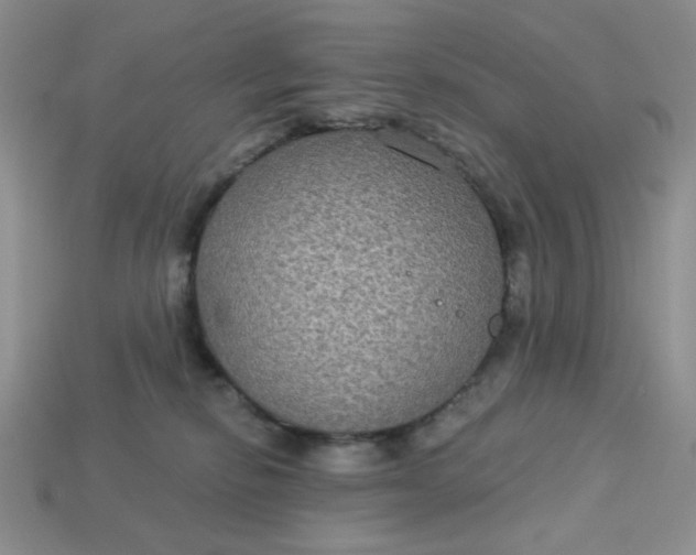 X0000113180278200909181900