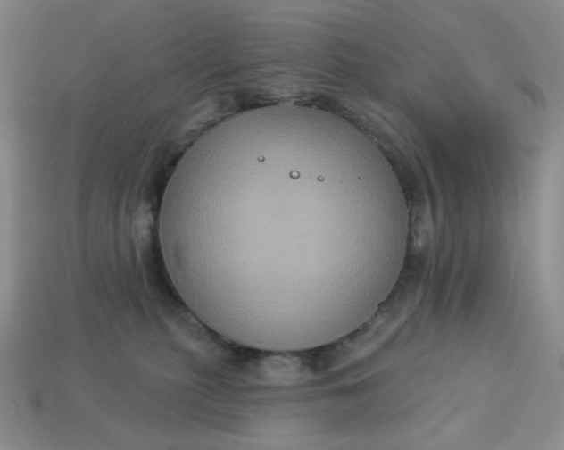 X0000113180279200909181900