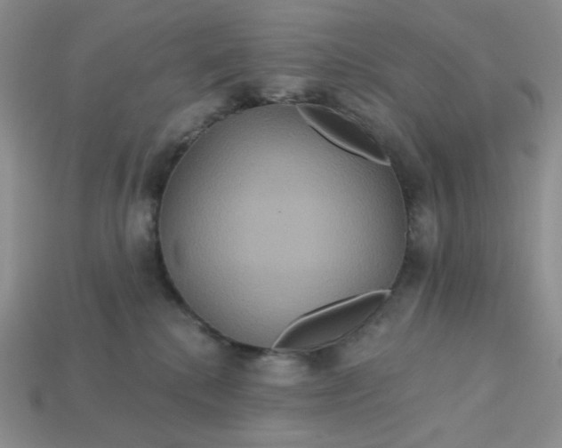 X0000113180280200909181900