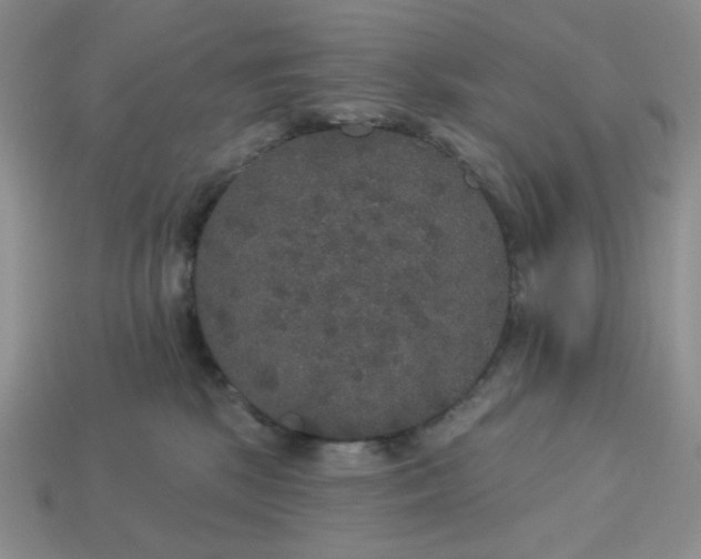 X0000113180281200909181900