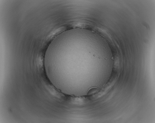 X0000113180282200909181900