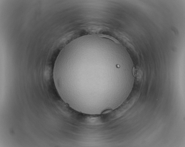 X0000113180283200909181900