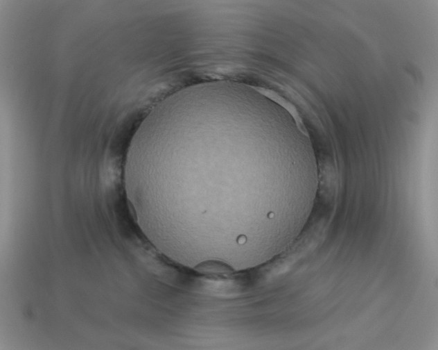 X0000113180284200909181900