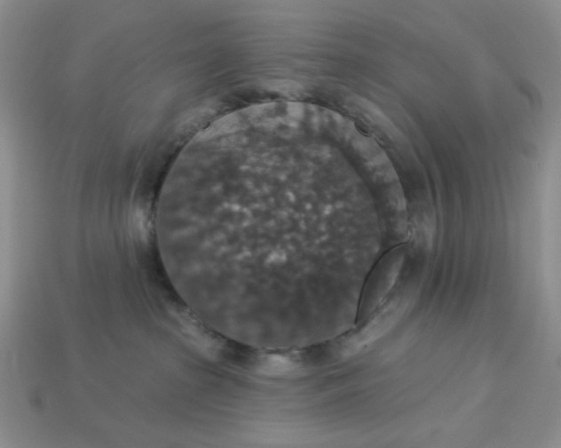 X0000113180285200909181900