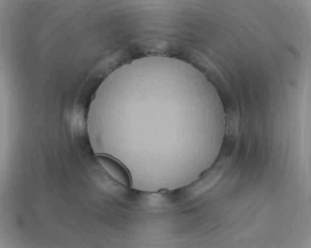 X0000113180287200909181900