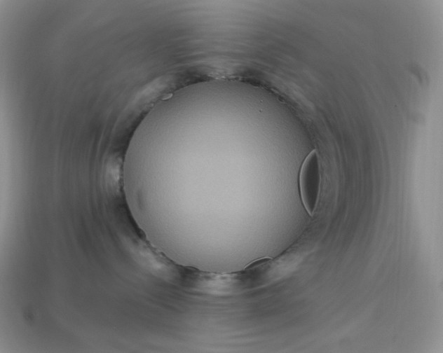 X0000113180288200909181900