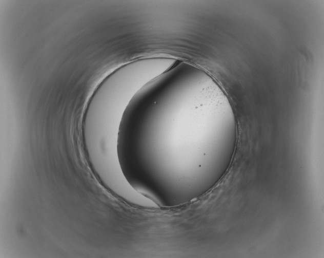 X0000113180289200909181859