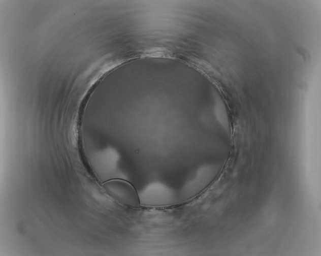 X0000113180290200909181859