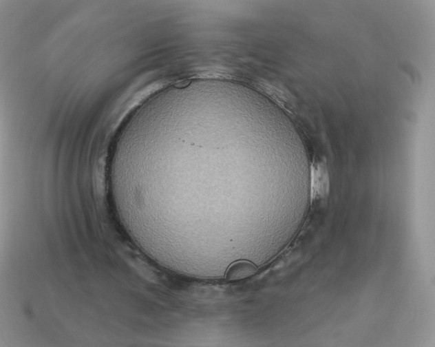 X0000113180291200909181859