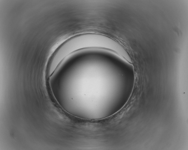 X0000113180292200909181859